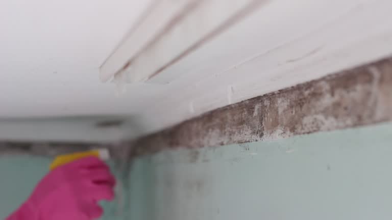 Best Residential Mold Inspection & Testing  in Beechwood Trails, OH